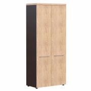 AHC-85.1D Шкаф закрытый высокий